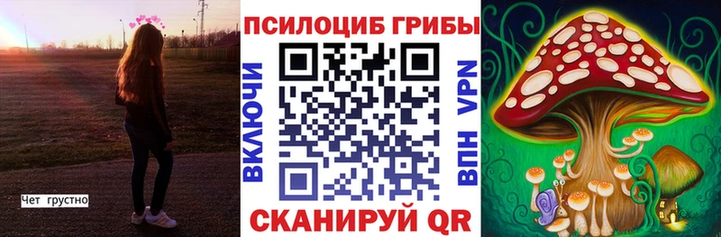 shop состав  где купить наркоту  Облучье  Псилоцибиновые грибы Magic Shrooms 